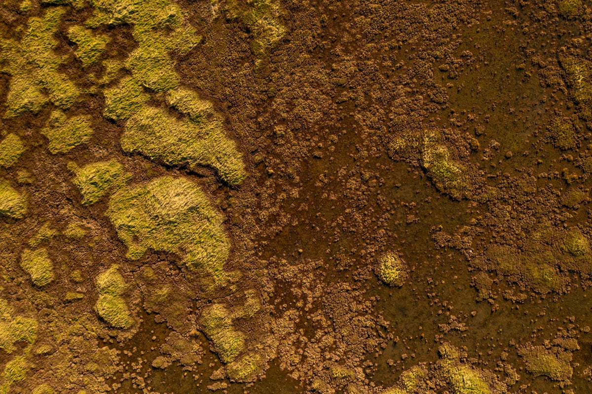 Wadden Sea 18