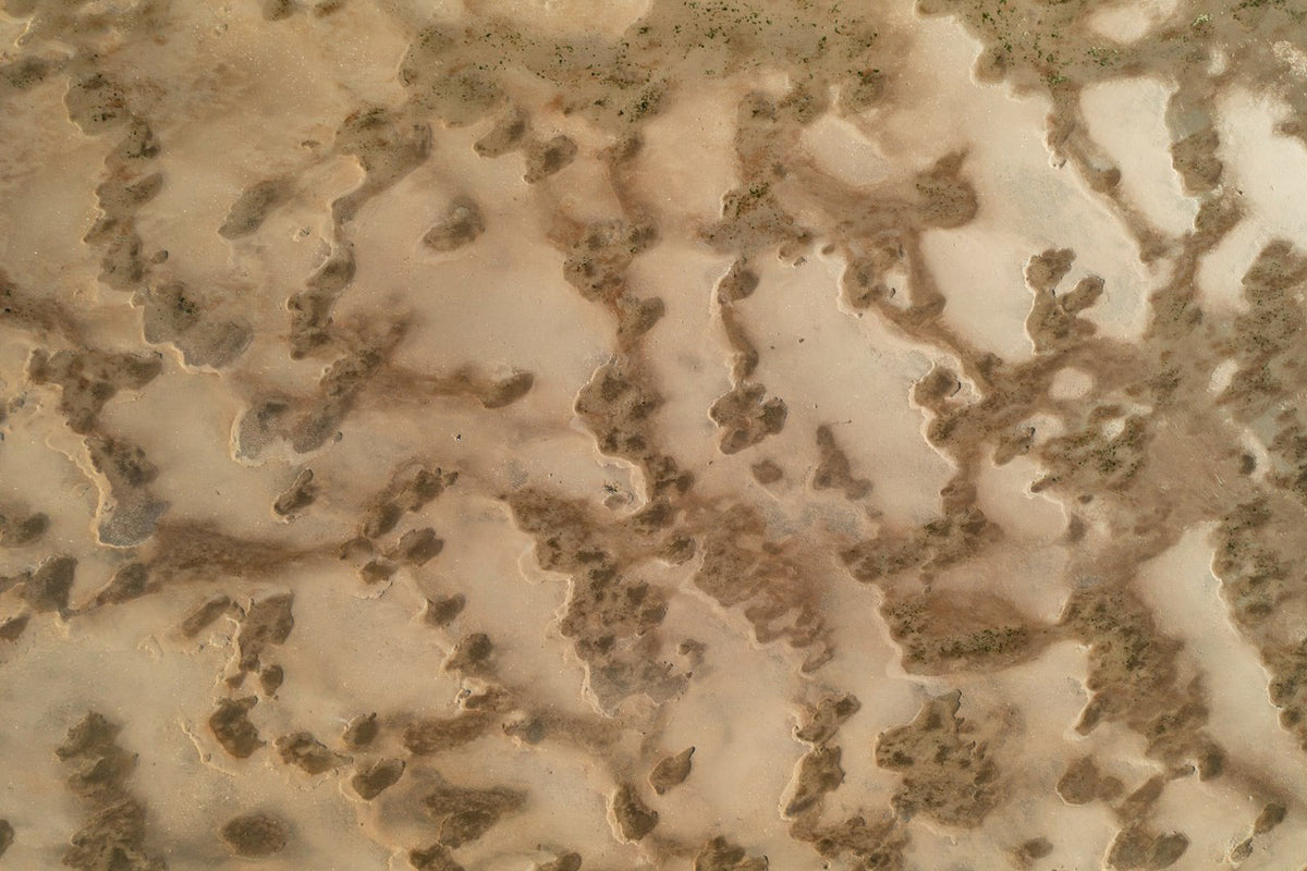 Wadden Sea 22