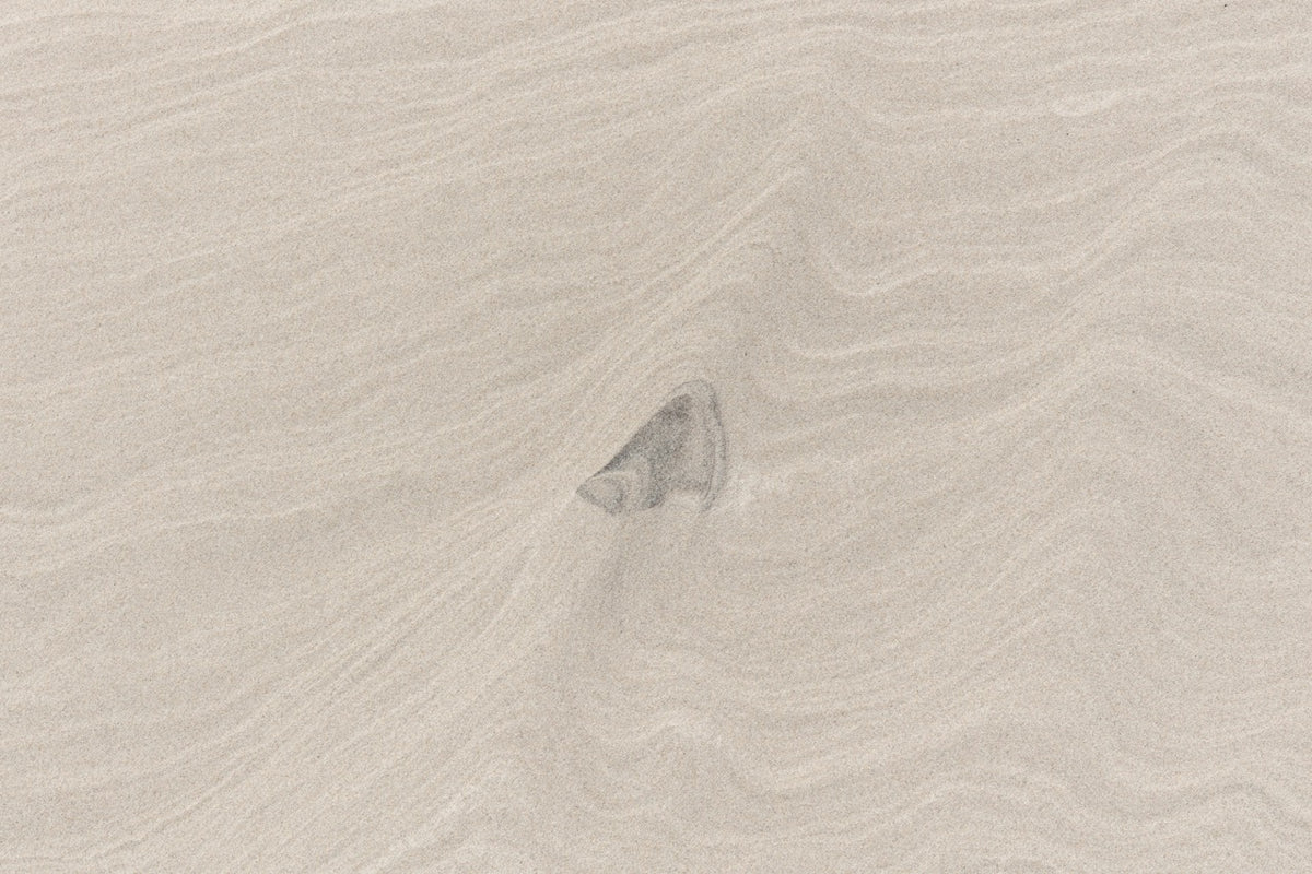 Wadden Sea 30