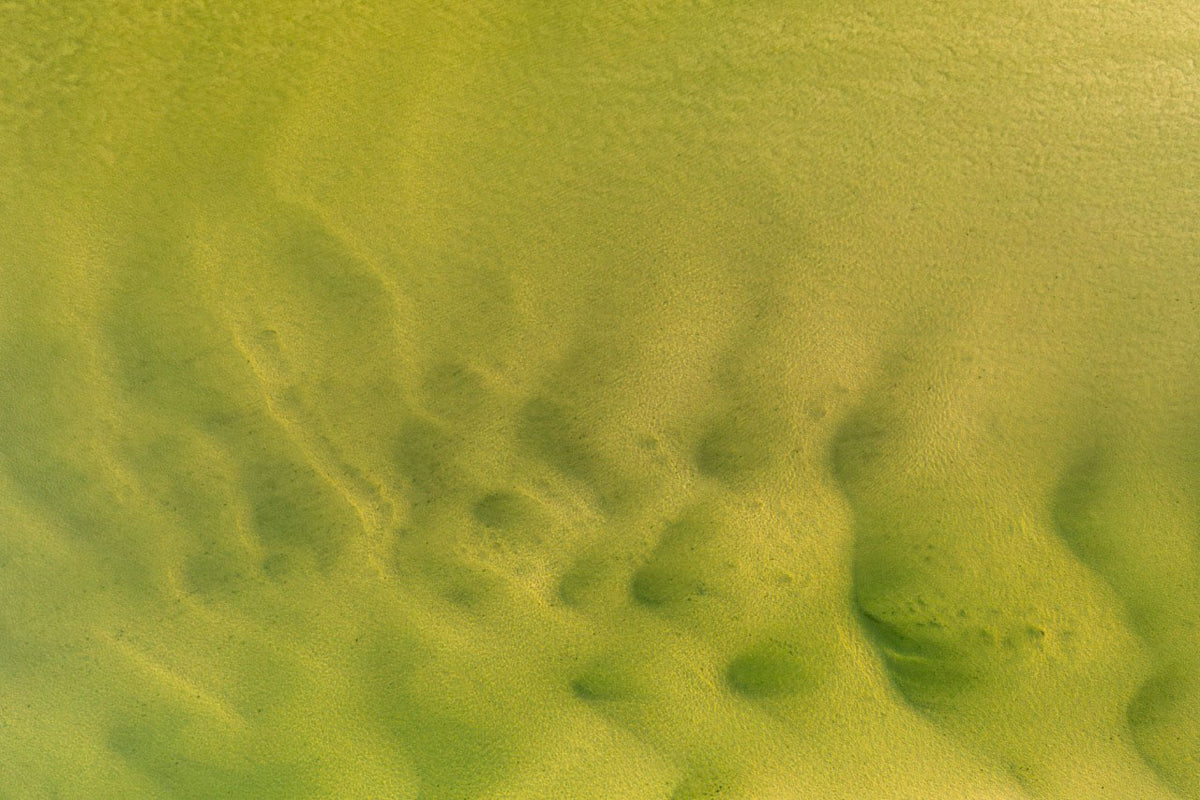 Wadden Sea 4
