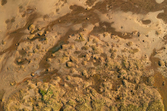 Wadden Sea 20