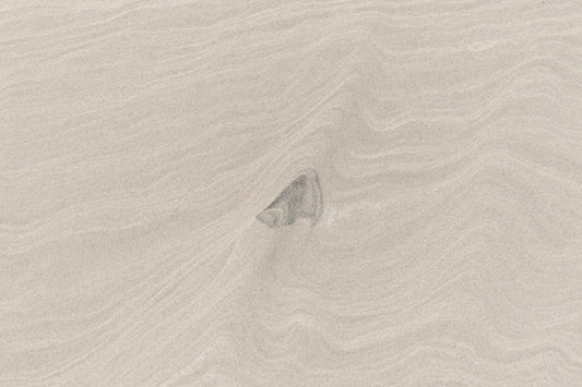 Wadden Sea 30